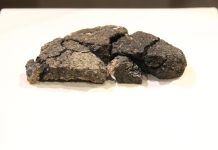 5 Bin Yıllık Küllüoba Ekmeği Eskişehir’de Tanıtıldı