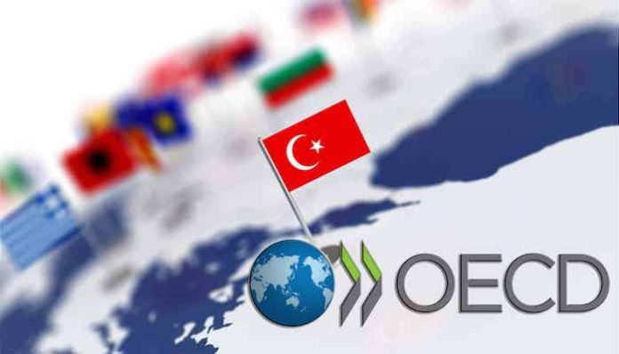 OECD-Turkiye-ekonomisi