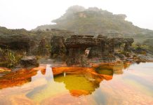 Türkiye-Venezuela Arası Turizmde Yeni Dönem: Sefer Sayıları Artıyor! Canaima Ulusal Parkı. Venezuela