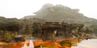 Türkiye-Venezuela Arası Turizmde Yeni Dönem: Sefer Sayıları Artıyor! Canaima Ulusal Parkı. Venezuela