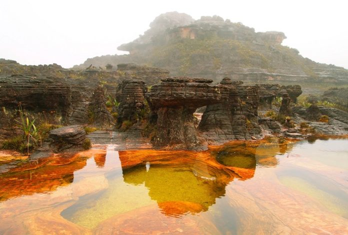 Venezuela, ulusal park Canaima Ulusal Parkı. Venezuela