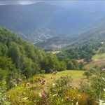 Kulakkaya Yaylası’na Turizmi Güçlendirecek Yatırımlar Geliyor