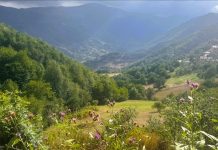 Kulakkaya Yaylası’na Turizmi Güçlendirecek Yatırımlar Geliyor