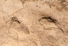 Hatay’da 7 Bin Yıllık İnsan Ayak İzleri Bulundu