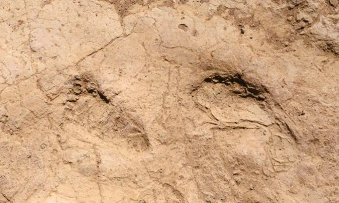 Hatay Tell Kurdu Hoyuk insan ayak izleri