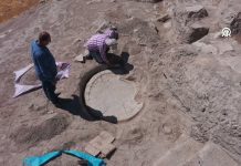 Elazığ’da 6 Bin Yıllık Boğa Başlı Sunak Bulundu