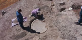 Elazığ’da 6 Bin Yıllık Boğa Başlı Sunak Bulundu