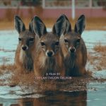 90’ların Gözde Oteli Naturland’ın Gerçek Hikayesi “Hiçbir Şey Normal Değil” Filminde