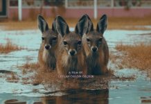 90’ların Gözde Oteli Naturland’ın Gerçek Hikayesi “Hiçbir Şey Normal Değil” Filminde