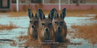 90’ların Gözde Oteli Naturland’ın Gerçek Hikayesi “Hiçbir Şey Normal Değil” Filminde