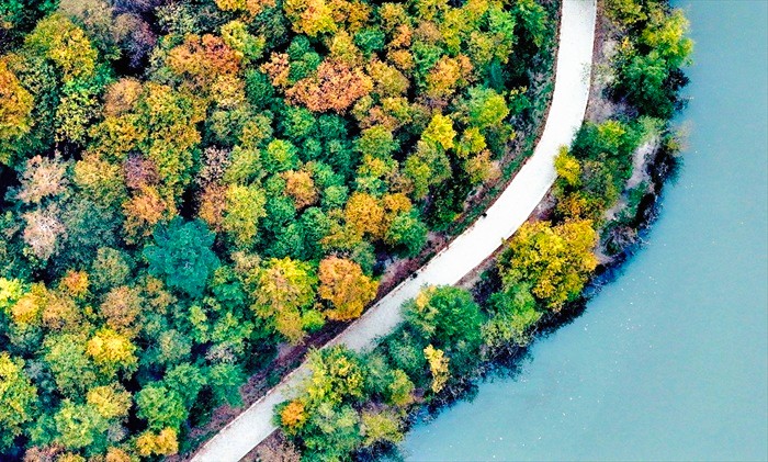 Korugöl Tabiat Parkı