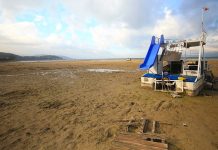 Sapanca Gölü Alarm Veriyor: Tarihin En Düşük Seviyesi Görüldü!