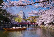 Japonya’ya Gitmeden Önce Bilmeniz Gereken Her Şey: İşte 2026 Rehberi
