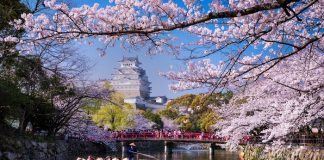 Japonya’ya Gitmeden Önce Bilmeniz Gereken Her Şey: İşte 2026 Rehberi