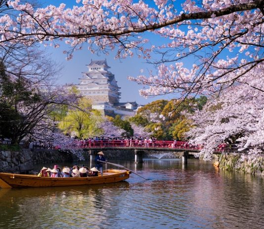 Japonya’ya Gitmeden Önce Bilmeniz Gereken Her Şey: İşte 2026 Rehberi