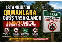 İstanbul’da Ormanlara Giriş Yasaklandı: 8 Haziran’da Başlıyor, 15 Ekim’e Kadar Sürecek! İşte Yasak ve Serbest Alanların Tam Listesi