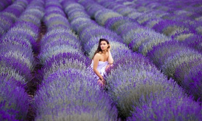 Young beautiful woman in lavender field. Lady on summer background Isparta gezi rehberi